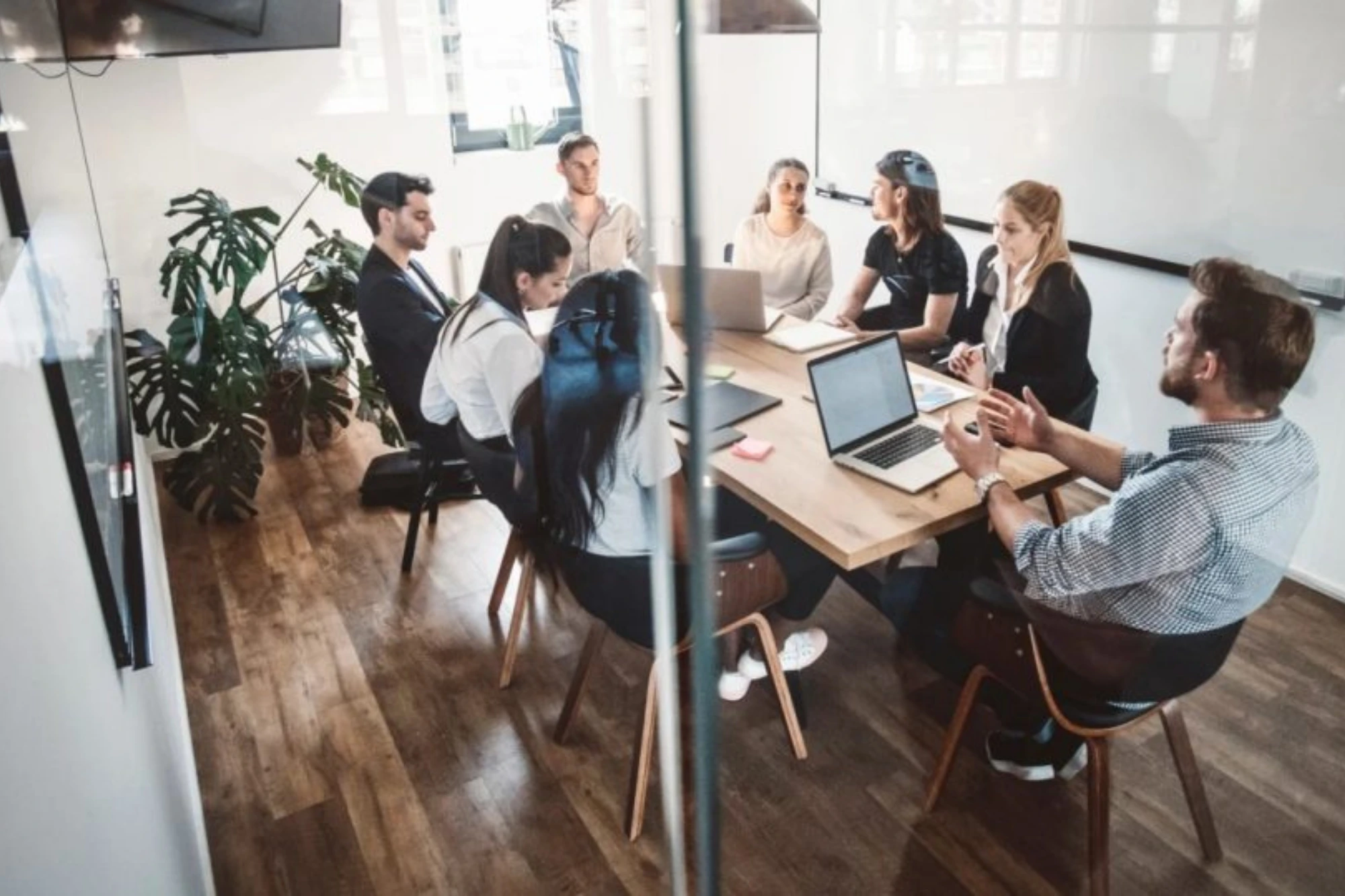 Comprehensive Startup Consultancy Services.